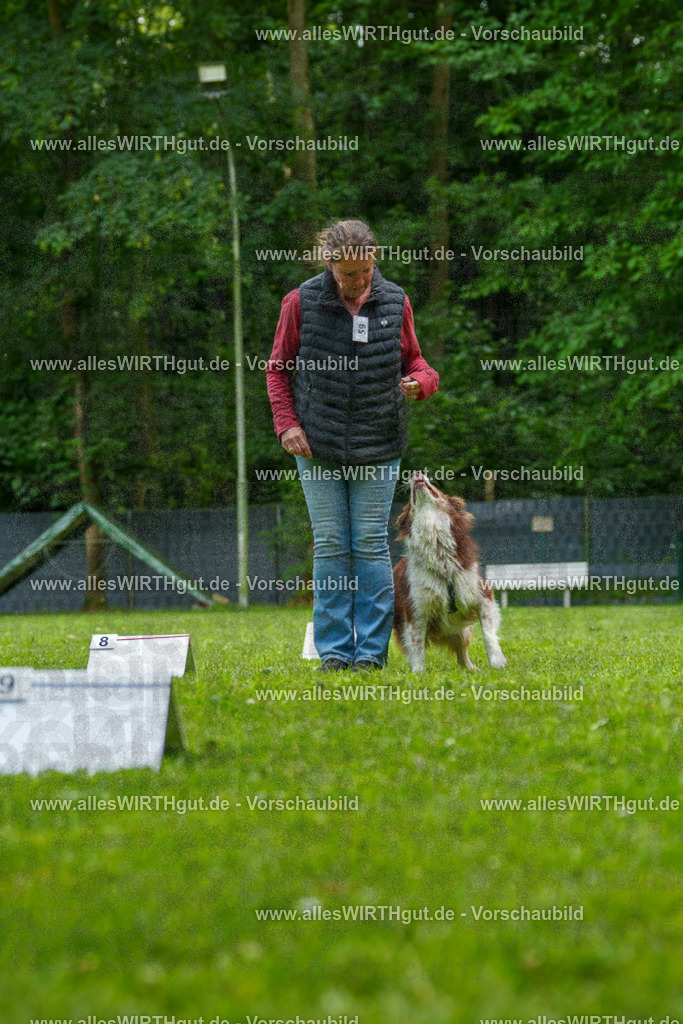 @allesWIRTHgut_Tierfotografie - www.allesWIRTHgut.de - 7R501451 | Professionelle Tierfotografie in Mönchengladbach von Daniel Wirth (allesWIRTHgut). Liebevolle & natürliche Bilder von Hunden & Katzen für unvergessliche Erinnerungen.