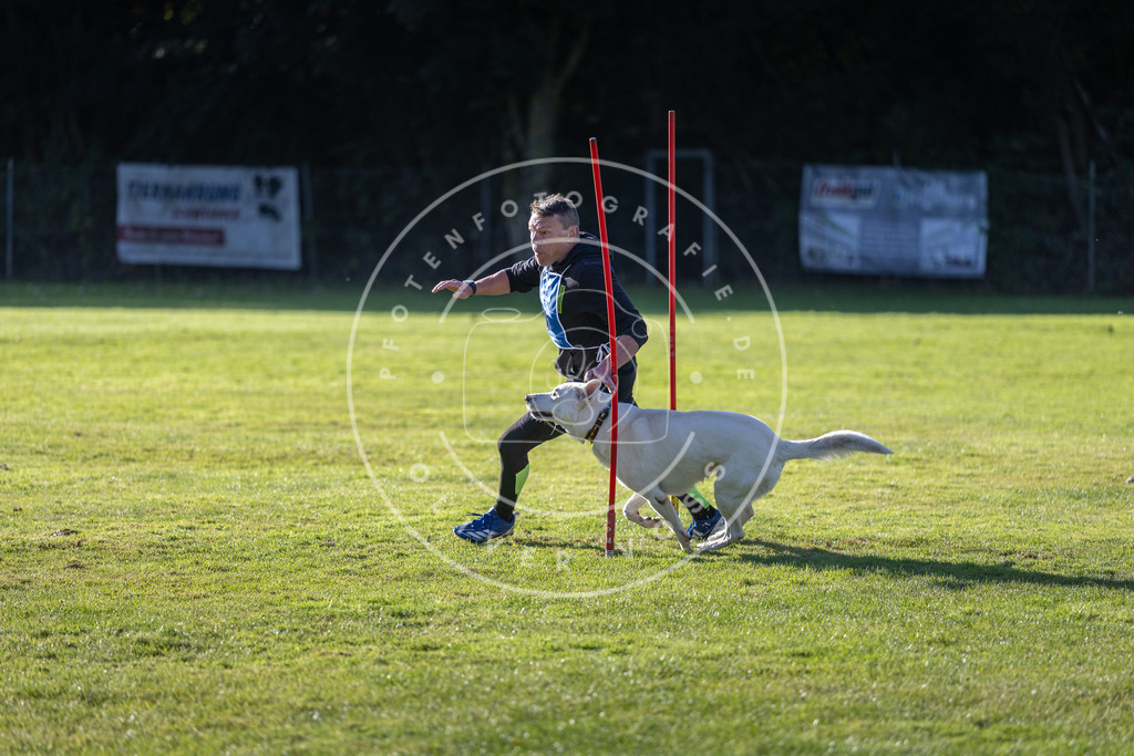 Pfotenfotografie.de_DV3A3228 | Hundefotografie, Tierfotograf, Pfotenfotografie, Fotoshooting Hund, Hunde Portrait, Hundesport, Hundeportraits, Heideshooting, Hunde, Sportfotograf, Hundefotograf, Turnierhundsport, THS, canicross - Realisiert mit Pictrs.com