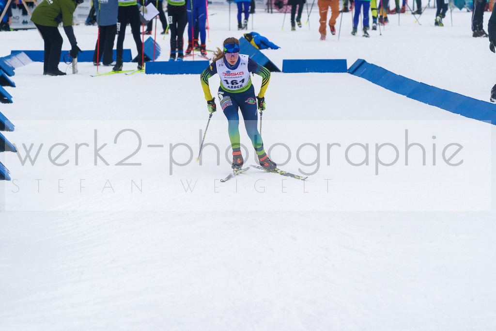 DSC Arber | Bayerischer Wald am 9. bis 12. Februar 2023
