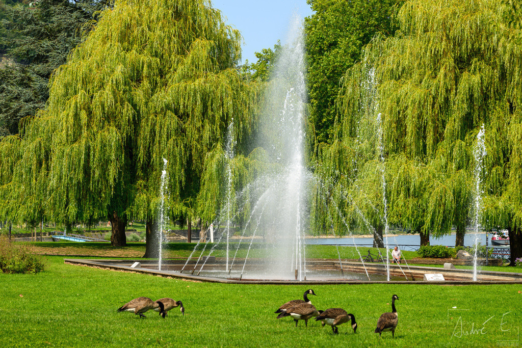 20250812-NZ8_0759 | Online Foto-Shop von André Engelhardt, Filmemacher und Fotograf. Fine Art Prints, Kunstdrucke, Fotogeschenke, Souvenirs von Mosel, Rhein und mehr. 