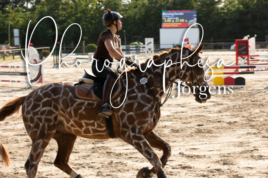 IMG_3612 | photographesa-joergens - Realisiert mit Pictrs.com