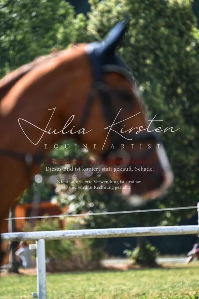 DSC_7742 | Pferde- und Turnierfotografie in Westsachsen. Pferdeportraits, Auftragszeichnungen und intuitive Kunst.