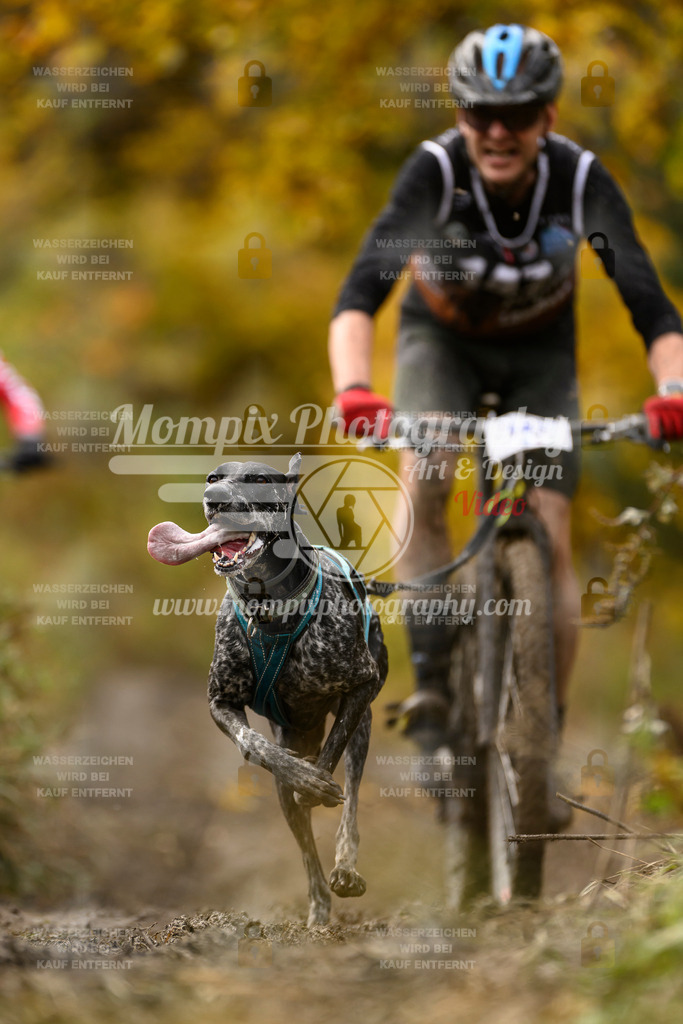 MompixPhotography_ICF_WC_2024_SA_Bike_-168 | PayLife