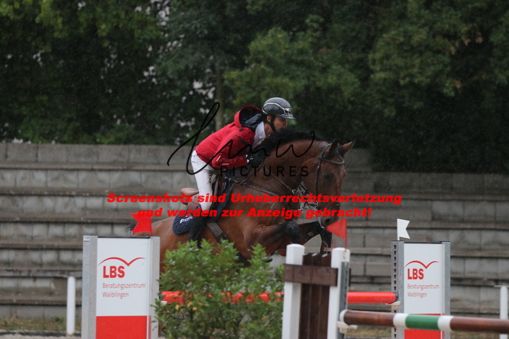 IMG_8254 | lmwpictures - Realisiert mit Pictrs.com