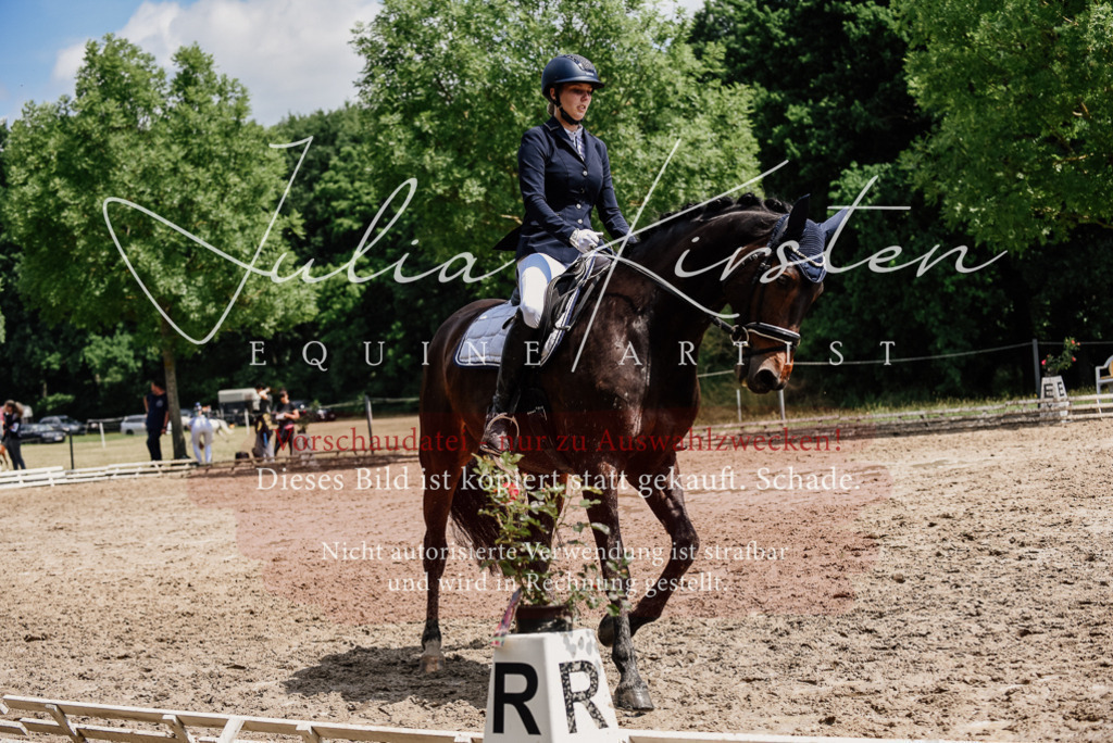 DSC_1492 | Pferde- und Turnierfotografie in Westsachsen. Pferdeportraits, Auftragszeichnungen und intuitive Kunst.