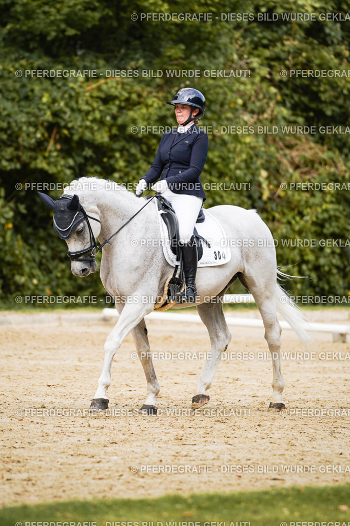 DSC02870 | Pferdegrafie