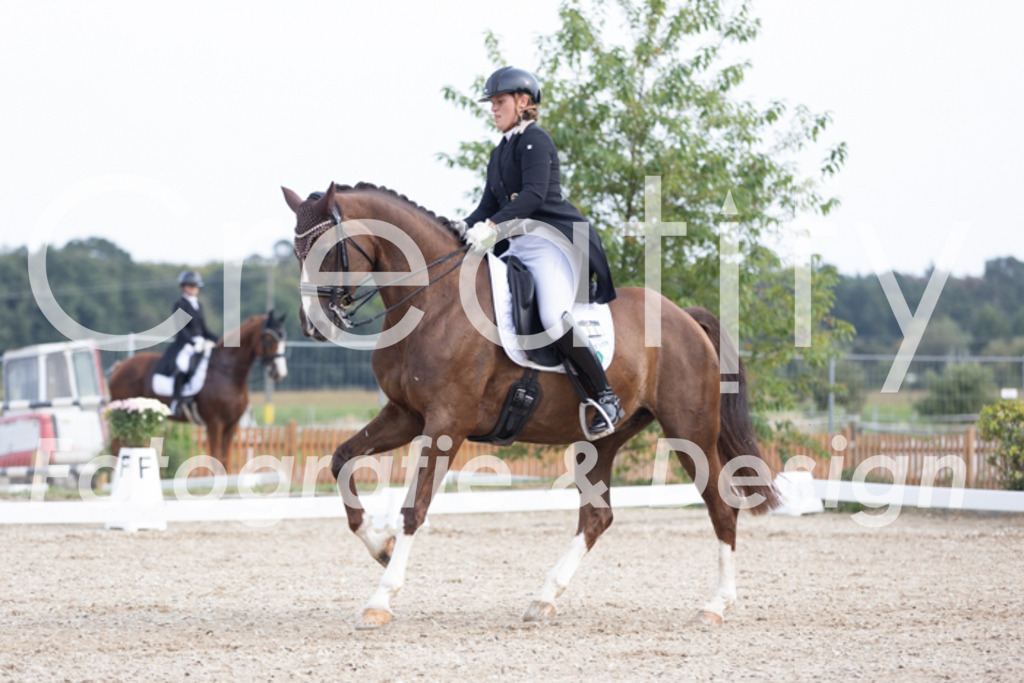 IMG_4719 | Creatify Fotografie