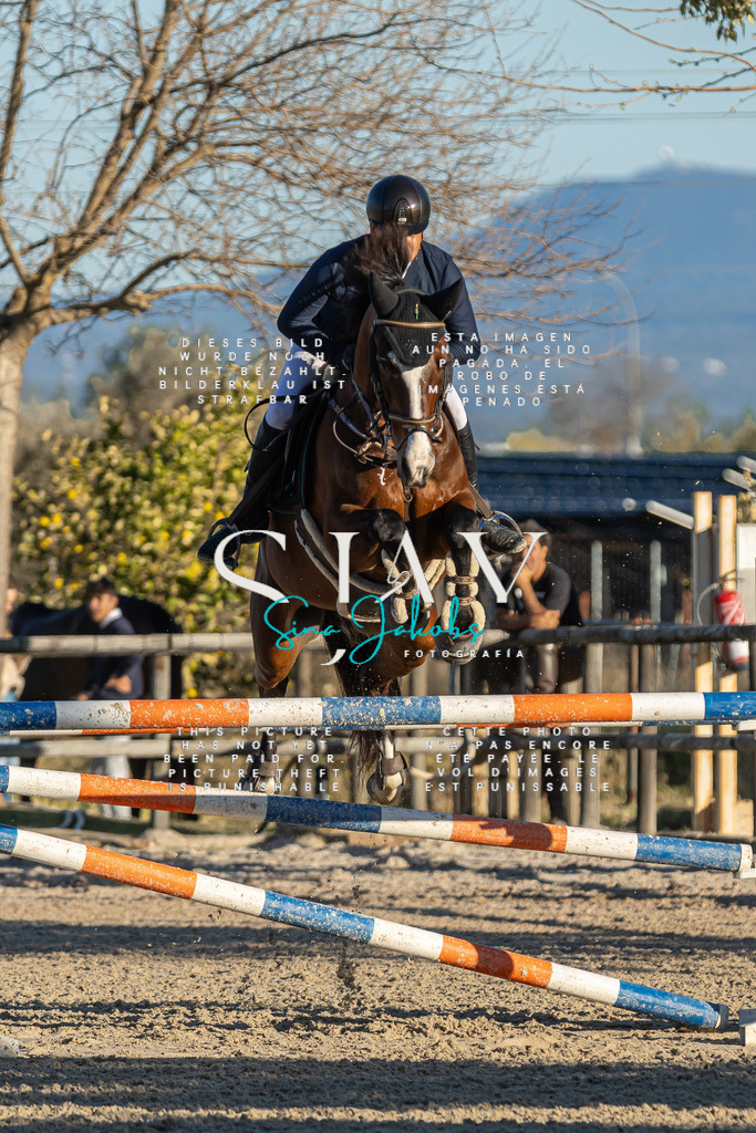 IMG_2356 | s-jay-photography - Realisiert mit Pictrs.com