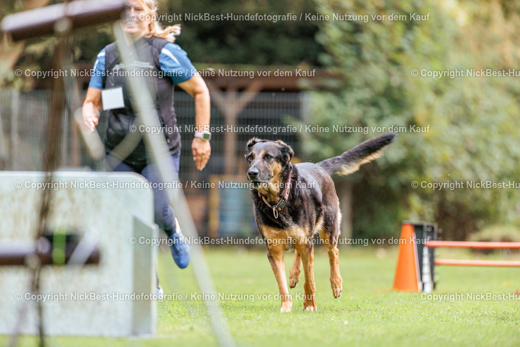 THS-HSV-Blumenthal-2026-Nickbest-Hundefotografie-1719 | Dein Hund! Dein Moment! Deine Erinnerungen! Hundefotografie in Bremen Blumenthal. Ich fange die besonderen Momente deines Vierbeiners ein – ob Indoor mit Blitzanlage oder in der freien Natur. Sicher dir dein Moment und dein Termin für eure Erinnerungen.