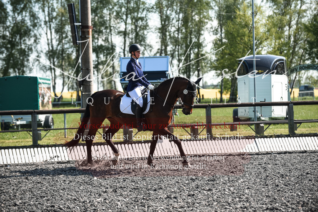 DSC_8773 | Pferde- und Turnierfotografie in Westsachsen. Pferdeportraits, Auftragszeichnungen und intuitive Kunst.