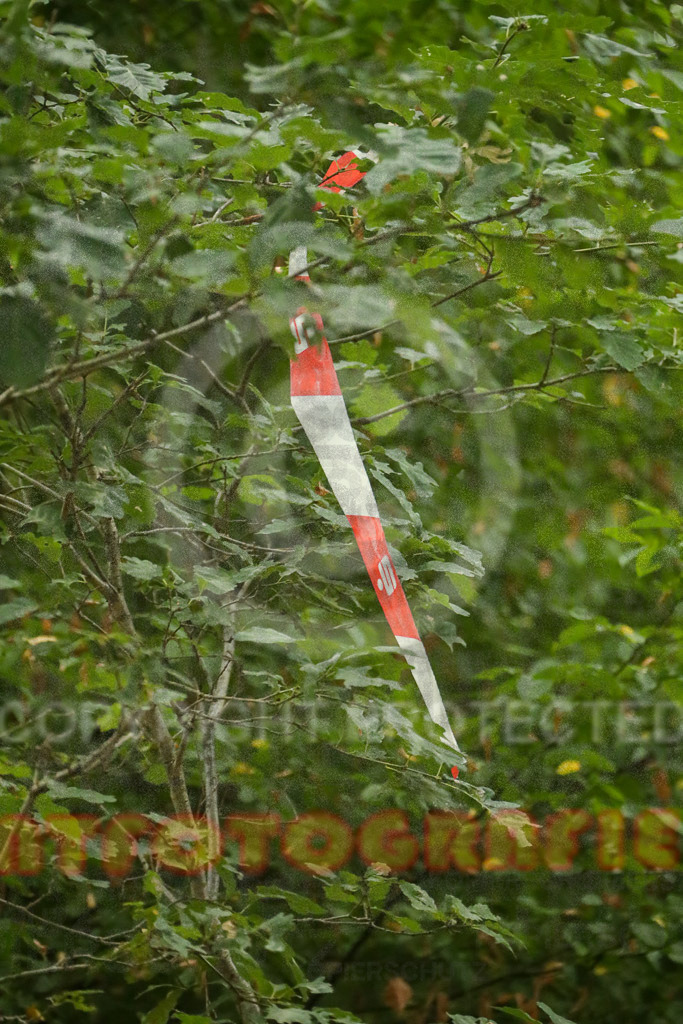 220827_1011_EX2_6322 | Sport- und Eventfotografie