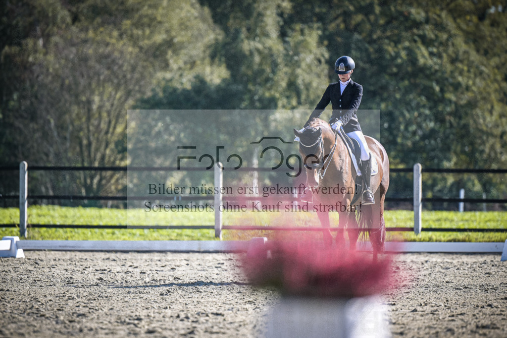 DOS_3092 | Entdecke hochwertige Reitturnierfotos von Foto Oger. Professionell, emotional und authentisch – jetzt Lieblingsmomente im Shop bestellen.Deutschlandweite Turnierfotografie. - Realisiert mit Pictrs.com
