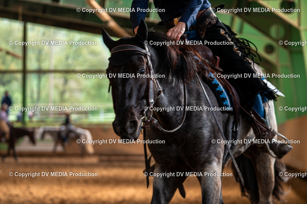 Balingen Tag 4-1016 | dv-media-shop - Realisiert mit Pictrs.com