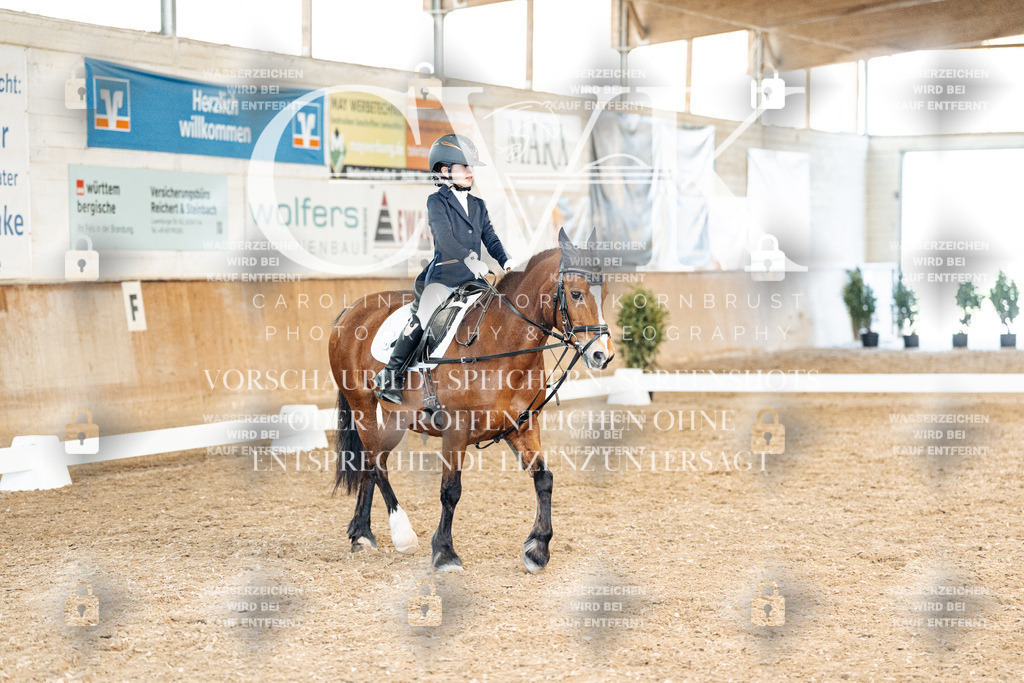 CK900494 | Turnierfotografie Pferdefotografie Trier Rheinland-Pfalz Pferdesport Reitsport Tierfotografie Sportfotografie Pferdevideo Pferdevideografie Equestrianvideography equestrianphotography  - Realized with Pictrs.com