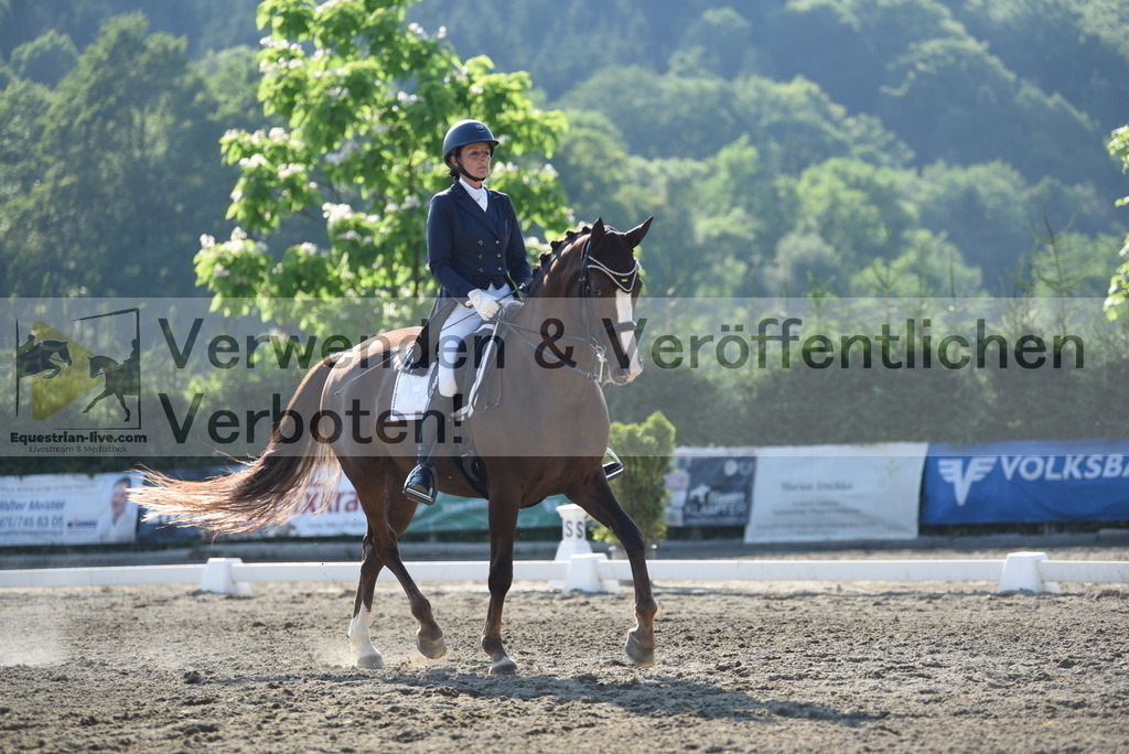 DSC_2913 | equestrian-live-com