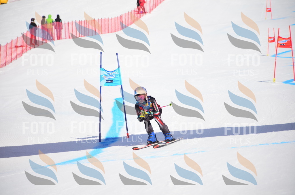 VR4_0062 | holidayphoto