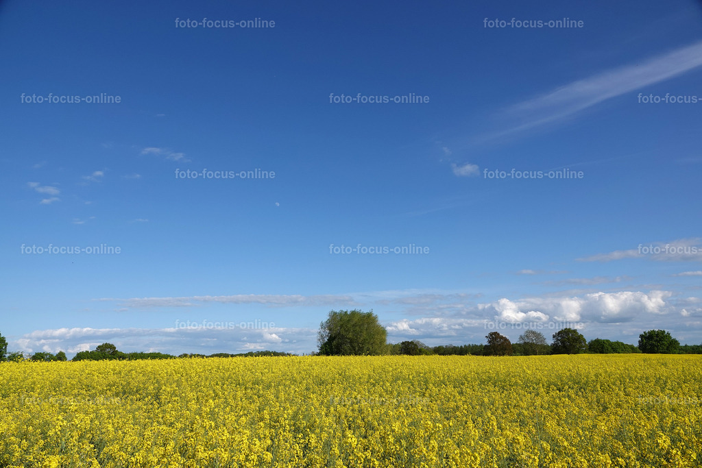 rapps-heute_17 | foto-focus-online