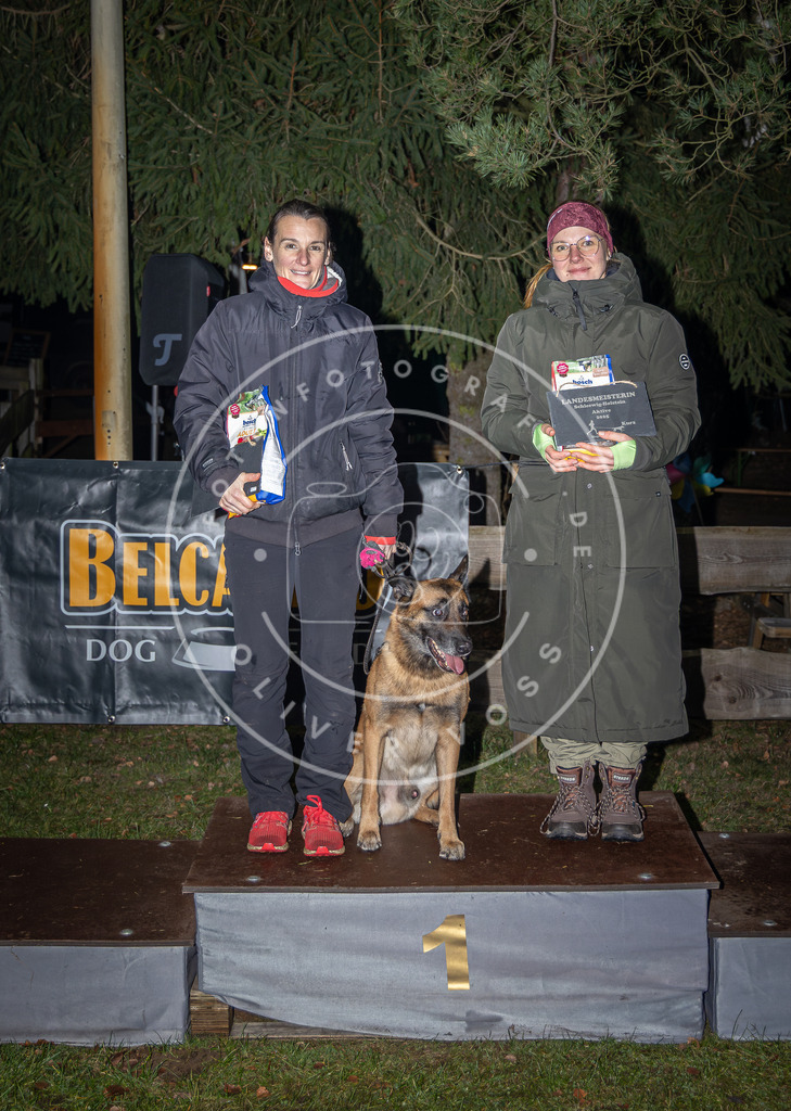 Pfotenfotografie_0L8A1951 | Hundefotografie, Tierfotograf, Pfotenfotografie, Fotoshooting Hund, Hunde Portrait, Hundesport, Hundeportraits, Heideshooting, Hunde, Sportfotograf, Hundefotograf, Turnierhundsport, THS,  - Realisiert mit Pictrs.com