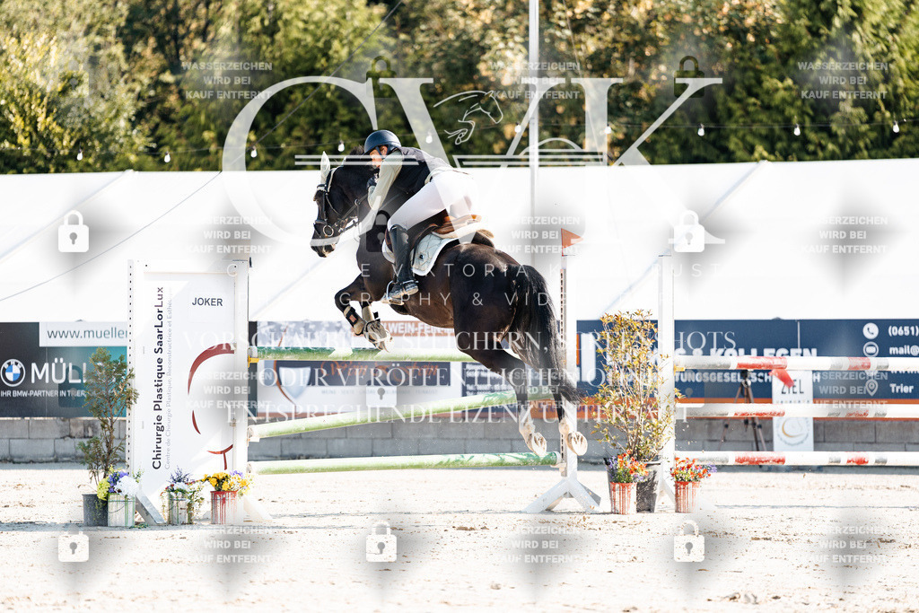 CK901660 | Turnierfotografie Pferdefotografie Trier Rheinland-Pfalz Pferdesport Reitsport Tierfotografie Sportfotografie Pferdevideo Pferdevideografie Equestrianvideography equestrianphotography  - Realisiert mit Pictrs.com