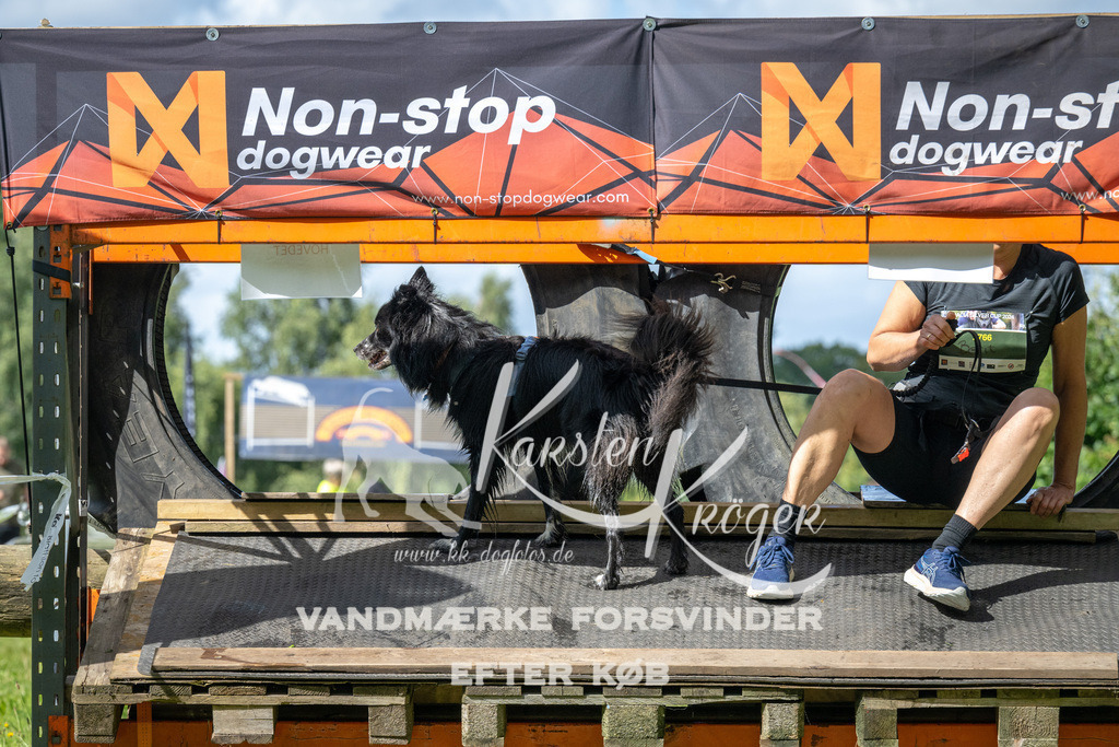 1538_ZZ93508 | kk-dogfotos