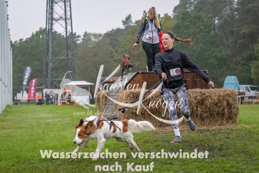 1244--12 | kk-dogfotos