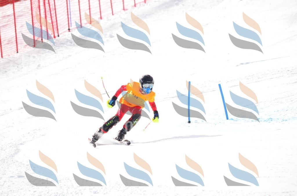 C8331 | holidayphoto