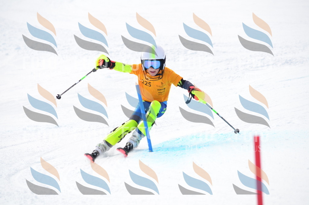 C8271 | holidayphoto