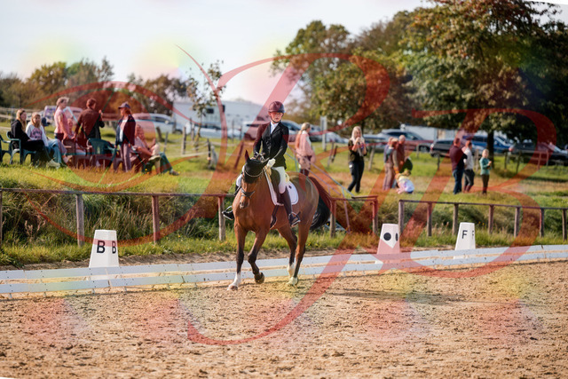 2026_10_03_Siefer-Hof_131654_Z63_77940050 | Professionelle Reitsport-, Turnier- und Eventfotografie von Robert Broda. Galerien mit ausgewählten und bearbeiteten Bildern direkt online ansehen und bestellen.