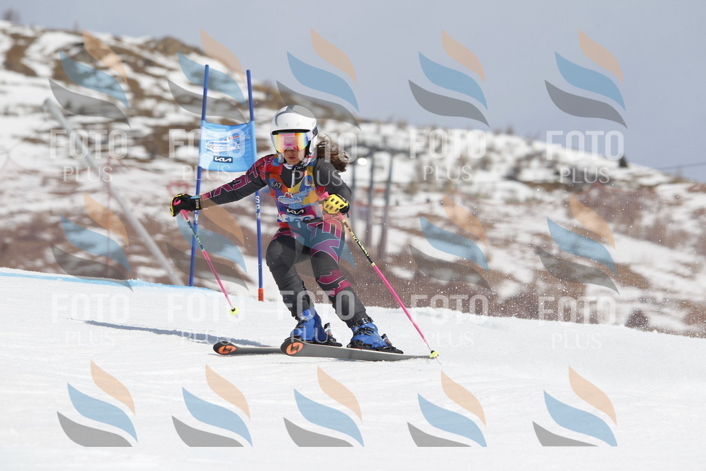 _U3G1461 | holidayphoto