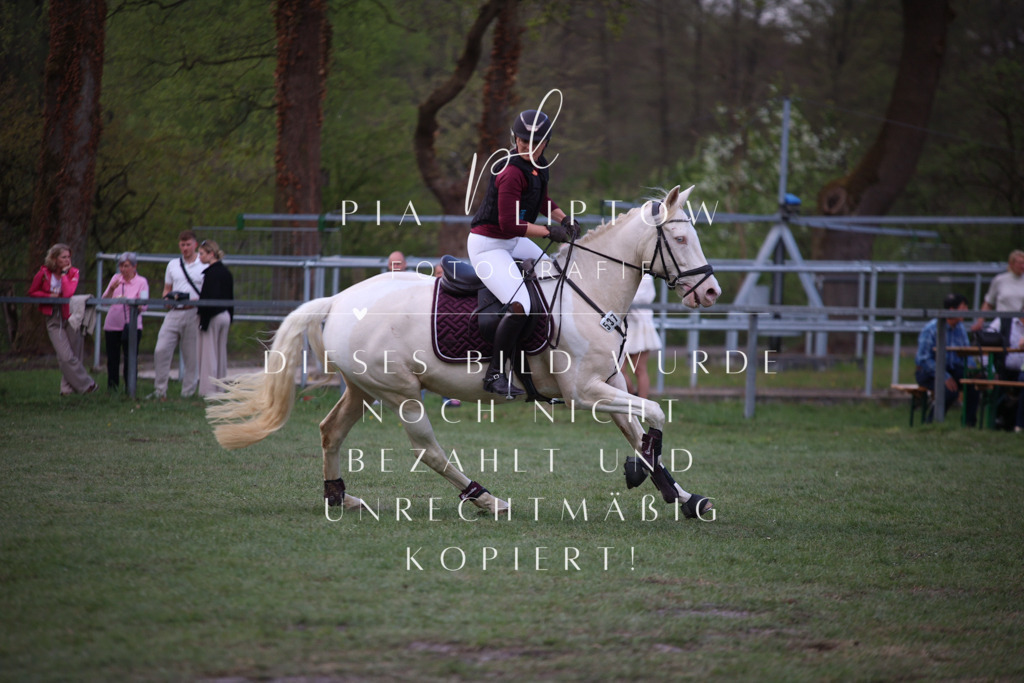 IMGT9435 | pl-fotografie