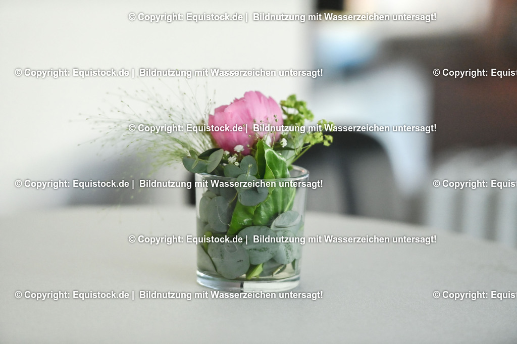 D78_3331 | equistock