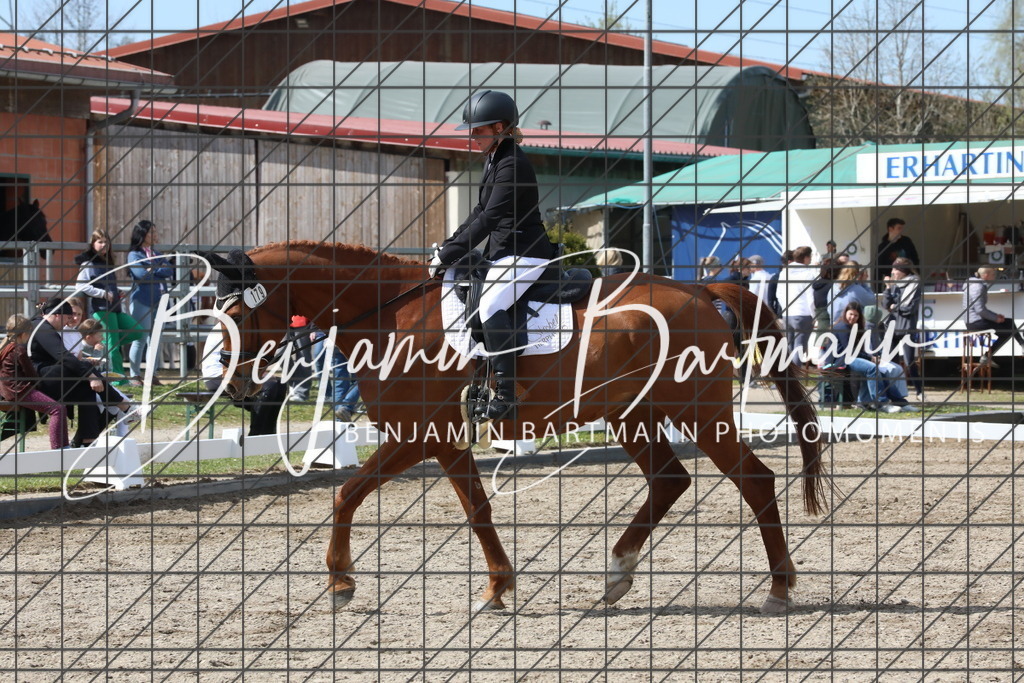 AZ2A3459 | Benjamin Bartmann Photomoments