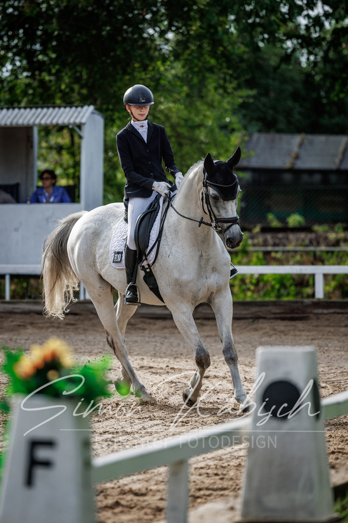 20260905-_3LI6904 | Tierfotografie Pferde, Hunde, Katzen, Haustiere.
Turnierfotografie Reitturniere, Reiten, Springreiten, Dressur in Hanau, dem Main-Kinzig-Kreis und dem Rhein-Main- Gebiet um Frankfurt