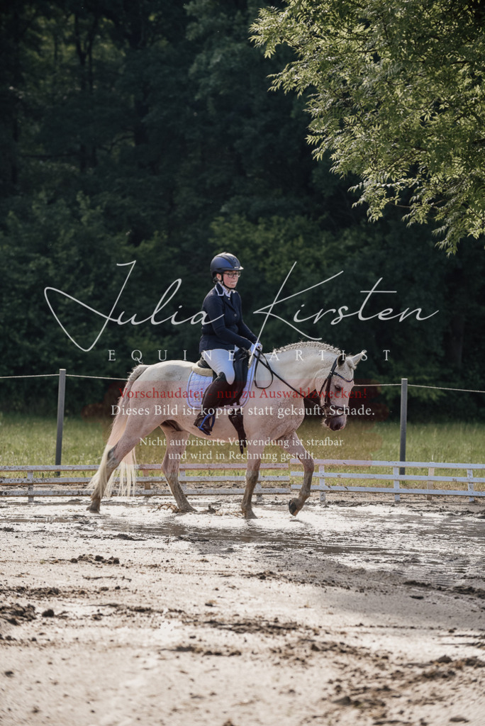 DSC_7926 | Pferde- und Turnierfotografie in Westsachsen. Pferdeportraits, Auftragszeichnungen und intuitive Kunst.