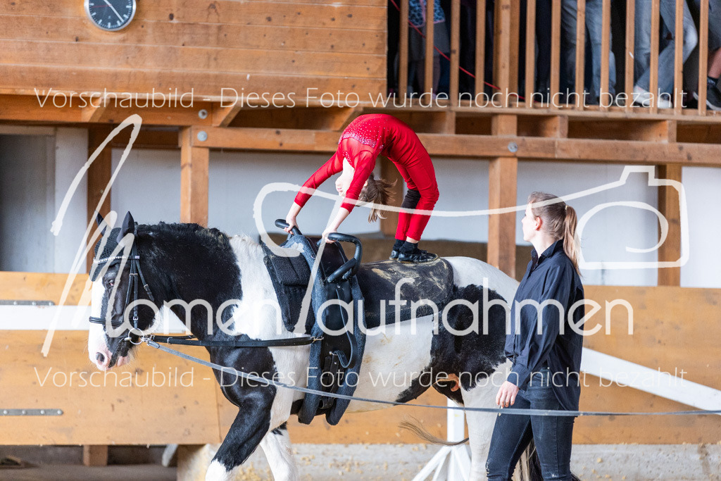 SS-Mini-216 | MomenTaufnahmen Pferdesportfotos