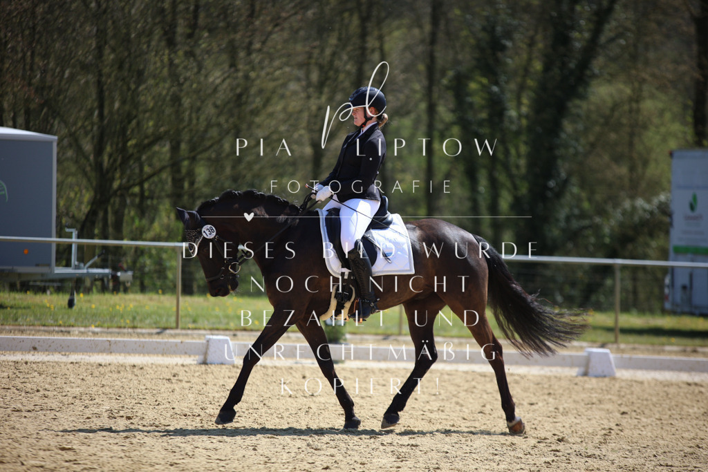 IMGT7294 | pl-fotografie