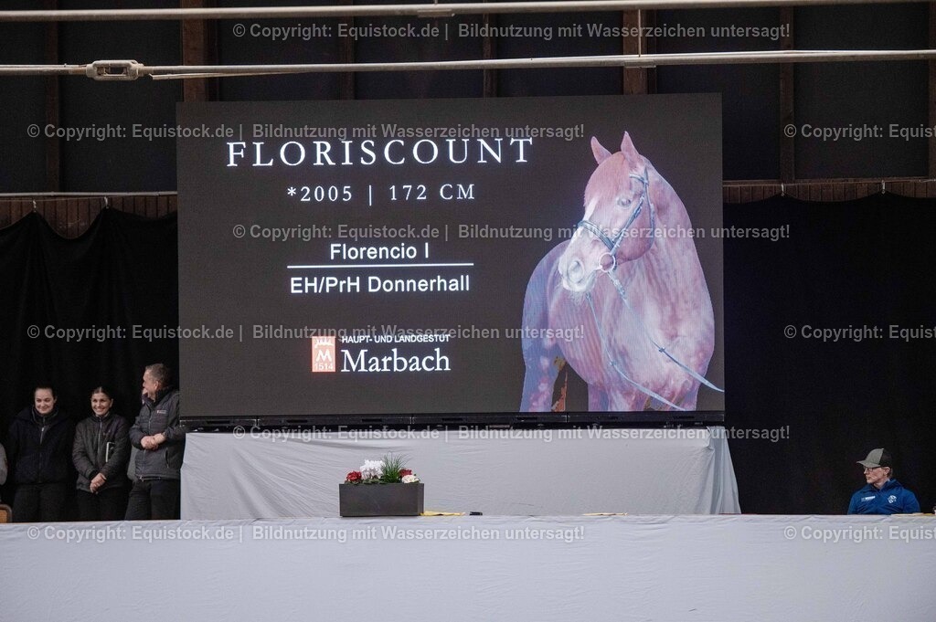 20260307_Hengstvorstellung-Marbach_0521 | equistock