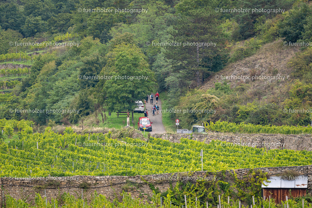 fuernholzer_251004-C3-336 | © Christian Fuernholzer | fuernholzer photography