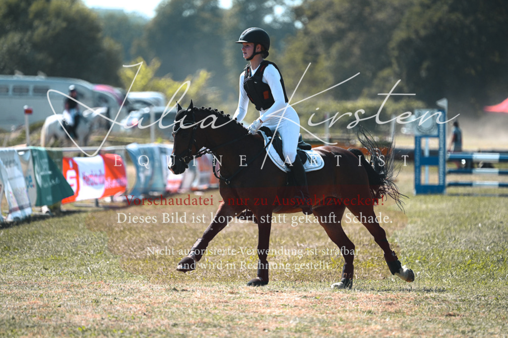 DSC_8276 | Pferde- und Turnierfotografie in Westsachsen. Pferdeportraits, Auftragszeichnungen und intuitive Kunst.