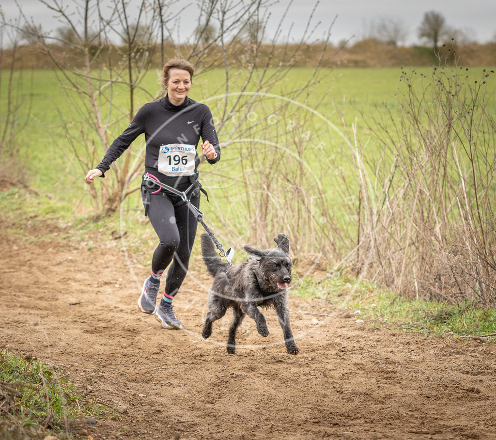 DV3A2353 | Hundefotografie, Tierfotograf, Pfotenfotografie, Fotoshooting Hund, Hunde Portrait, Hundesport, Hundeportraits, Heideshooting, Hunde, Sportfotograf, Hundefotograf, Turnierhundsport, THS,  - Realisiert mit Pictrs.com