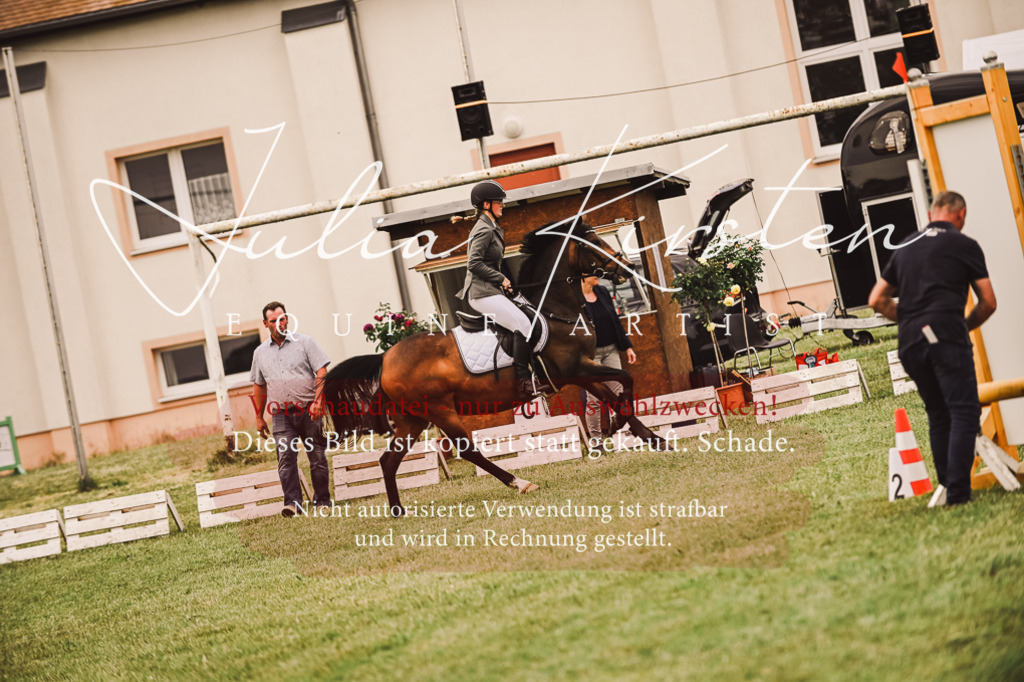 DSC_7004 | Pferde- und Turnierfotografie in Westsachsen. Pferdeportraits, Auftragszeichnungen und intuitive Kunst.