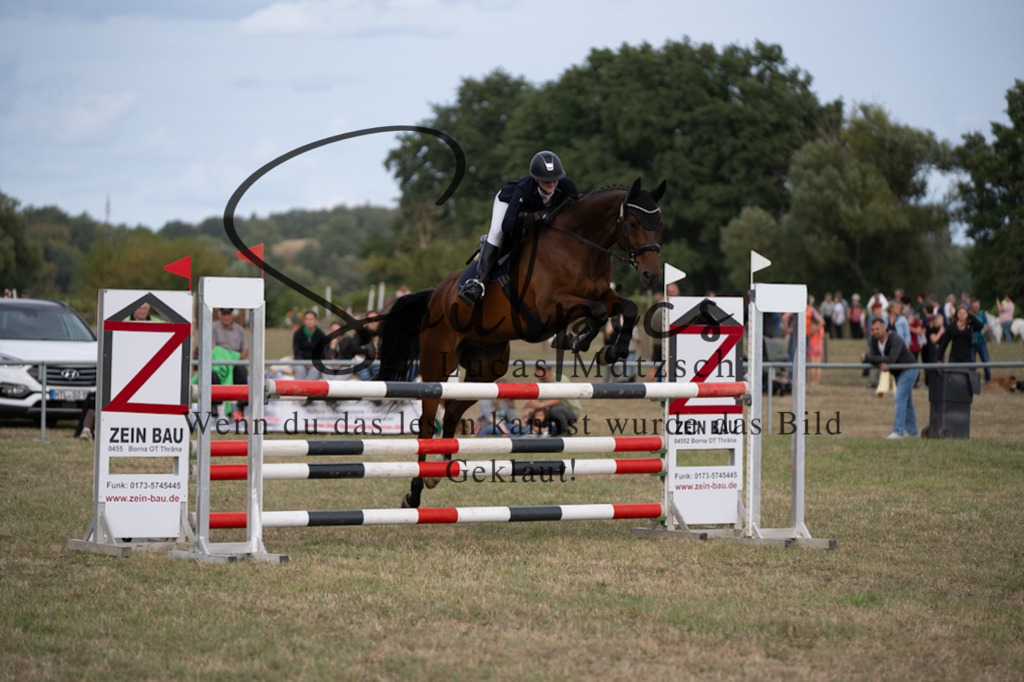 A7V09688 | Pferdefotograf