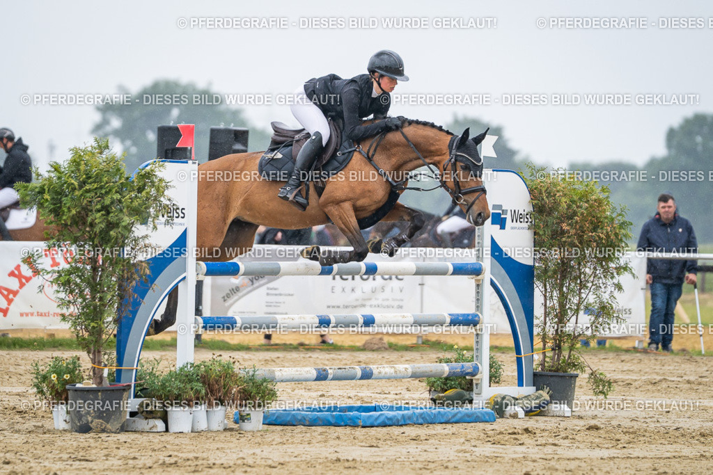 DSC02982 | Pferdegrafie