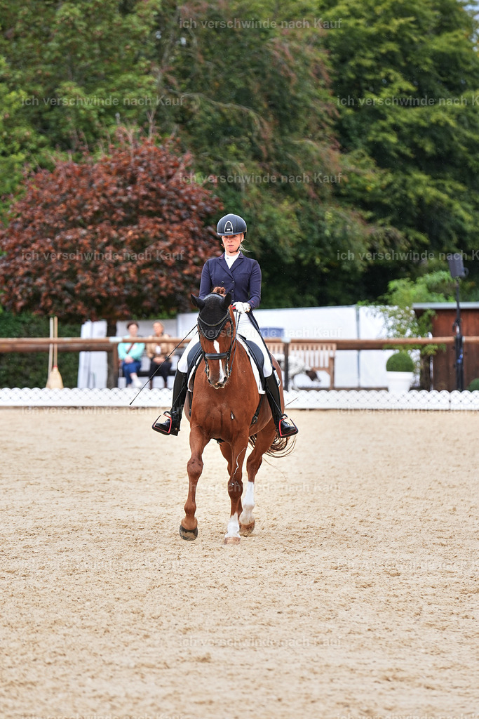 11-238-Dressur S___-Marixx-1757 | working equitationturnier fotograf videograf stoibphotography marixx film working equitation deutschland reitsport turnierfotografie eventfotografie equestrian events