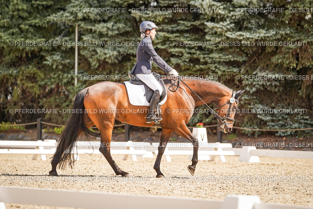 DSC00925 | Pferdegrafie