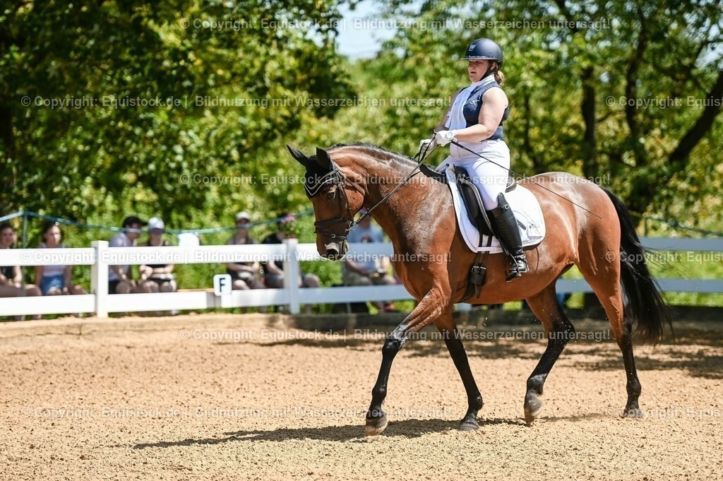 20230715_02_Dressurreiterprüfung Kl.L_0004 | equistock