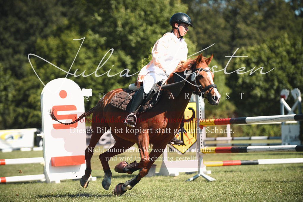 DSC_7384 | Pferde- und Turnierfotografie in Westsachsen. Pferdeportraits, Auftragszeichnungen und intuitive Kunst.