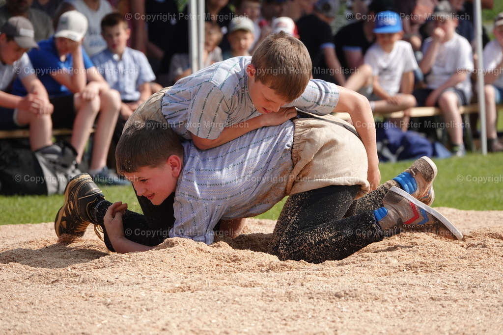 DSC04387 | Schwingen - Realisiert mit Pictrs.com