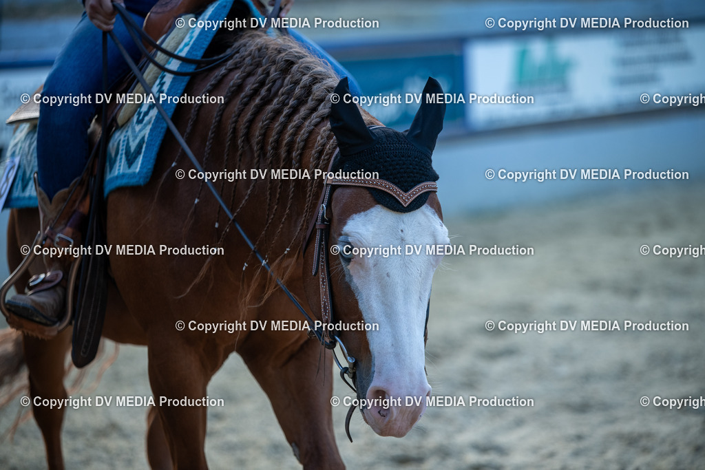 EWP_7224 | dv-media-shop - Realisiert mit Pictrs.com