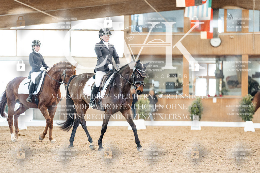 CK908273 | Turnierfotografie Pferdefotografie Trier Rheinland-Pfalz Pferdesport Reitsport Tierfotografie Sportfotografie Pferdevideo Pferdevideografie Equestrianvideography equestrianphotography  - Realisiert mit Pictrs.com